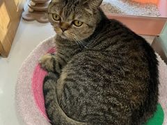 -纳吉亚猫专科动物医院博雅分院