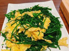 -靖远尕六美味羊羔肉