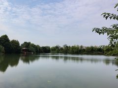 -桃花岛景观公园