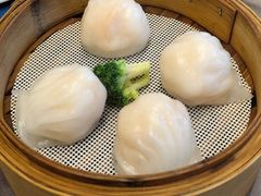 -东方御宴海鲜酒楼(棕泉酒店)