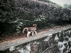 -敬亭山风景名胜区