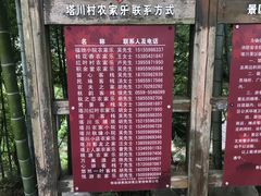 -塔川景区