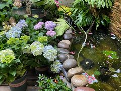 -兰纳泰式spa(古城店)