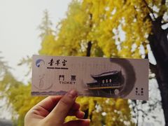 -青羊宫