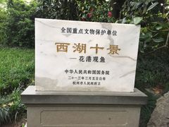 -西湖外事游船(花港观鱼码头)