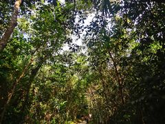 -海南热带雨林国家公园吊罗山景区