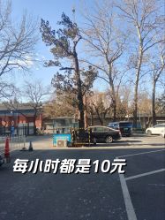 -首都医科大学附属北京儿童医院