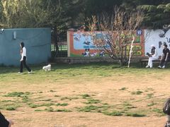-趣玩宠物乐园寄养训犬训狗游泳池