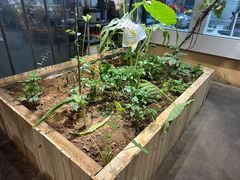 -传统菜农庄(皇姑路店)