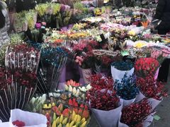 -宝鸡东道花鸟鱼虫市场(吉利花园商场店)