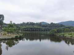 -大屏嶂森林公园