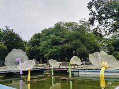 -溱湖国家湿地公园