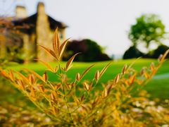 -浙江安吉JW万豪酒店·万豪中餐厅