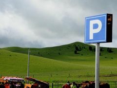 -塞罕坝国家级自然保护区