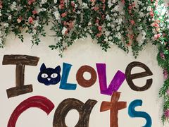 -藏猫猫咖啡主题馆(中央大道店)