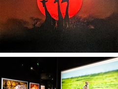 -罗红摄影艺术馆