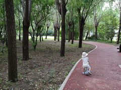 -长春公园(普阳街道)