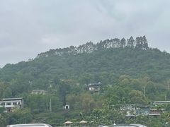 -玫瑰庄园·自助烧烤·烤全羊·团建拓展(龙泉山店)