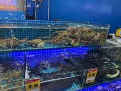 -大东海海鲜酒楼(渔人码头总店)