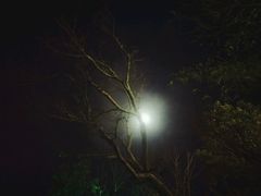 -苏州湾王焰温泉度假酒店