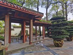 -南山植物园