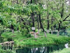 -长白岛森林公园