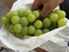 -马陆小张葡萄园农家乐