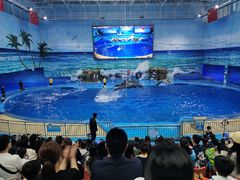 -多彩贵州城极地海洋世界