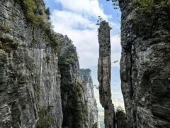 -恩施大峡谷