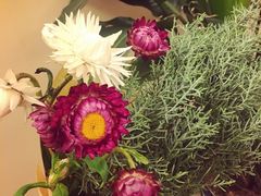 -ChaKo Flora ·茶子花艺 (市北店)