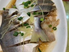 -台山美食一绝阿四台山黄鳝饭(阿四创作店)