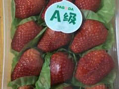 -百果园PAGODA(应元路店)