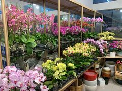 -双季花艺园艺市场(浦东店)