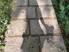 -水濂山森林公园