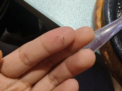 -红透天牛排海鲜自助(长和国际直营店)