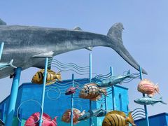 -海合安武汉极地海洋公园