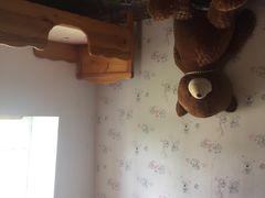 -金山农民画村-枫泾波兰倒置屋