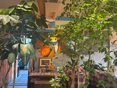 -慢丽江·云南野生菌土鸡锅(付家庄店)