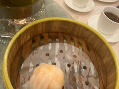 -潮江春(阳光店)