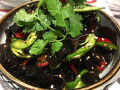 凉拌黑木耳-臻享無招牌·食蛙专门店(太古里店)