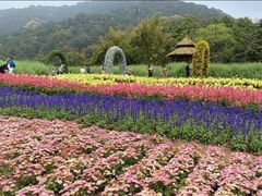 -广州市石门国家森林公园