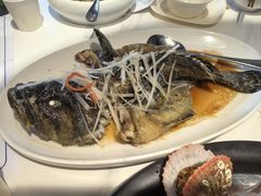 清蒸石斑鱼-大锅强·蒸海鲜青岛菜(金沙滩店)