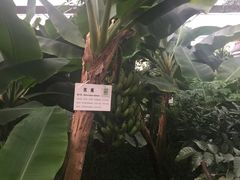 -汤山翠谷生态餐厅