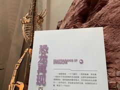 -重庆自然博物馆(新馆)