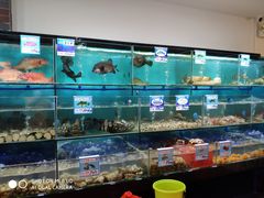 水产区-南海渔家•海鲜•正宗海南菜(海棠湾店)