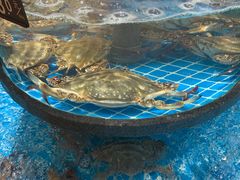 -梦都海鲜酒家(万达广场江桥店)