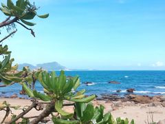 -西涌国际滨海旅游区