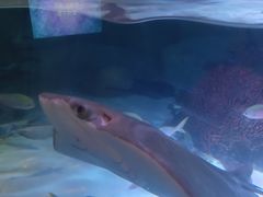 -沈阳海洋探索中心