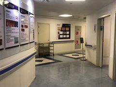 -上海市东方医院(总院)