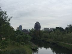 -眉山湿地公园(东坡区)